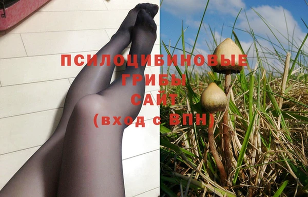 индика Алексеевка