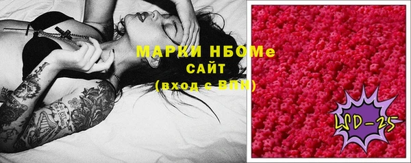 МДПВ Алзамай