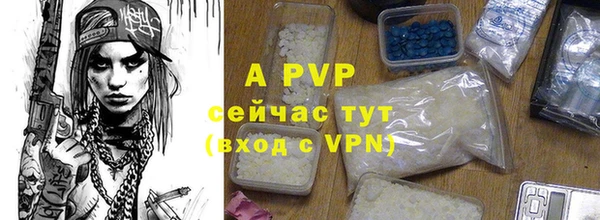 индика Алексеевка