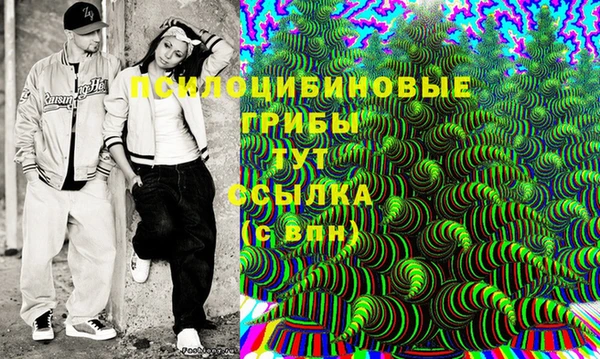 МДПВ Алзамай
